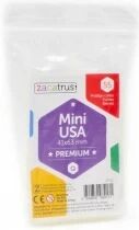 Small - Mini USA (41x63)