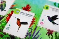 Am&eacute;riques (Ext. Wingspan)