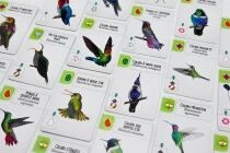 Am&eacute;riques (Ext. Wingspan)