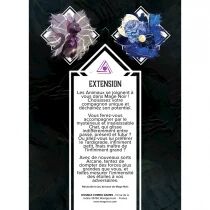 Arcane: Le Chat et l\'Astronome (Ext. Mage Noir)