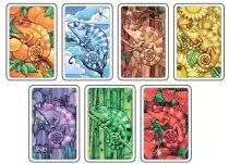 coloretto2013_cartes