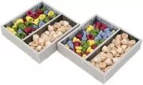 Earth : Rangements pour Boîte - Insert (Fiche Type)