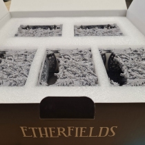 Etherfields : Set de 5 Porte-Cartes