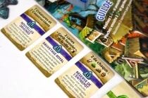 Everdell Silverfrost - &Eacute;dition Essentielle