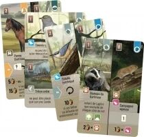 Forêt Mixte : Dartmoor