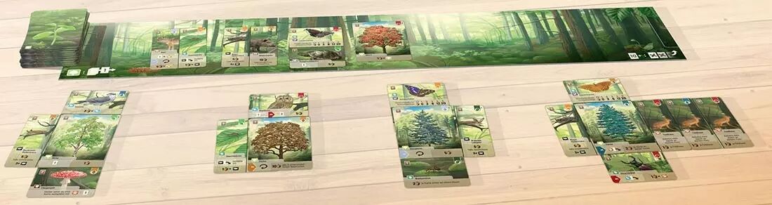 Forêt Mixte - Jeu de Société - Jeu de Cartes - Acheter sur