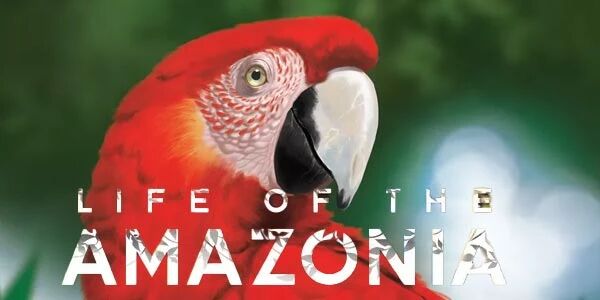 Jeu Life of The Amazonia