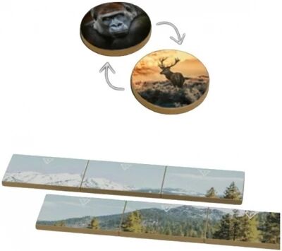 KS Goodies (Ext. Earth : Règne Animal)