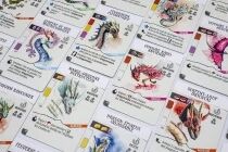 L\'Académie des Dragons (Ext. Wyrmspan)
