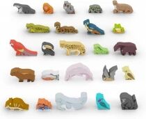Life of The Amazonia : Meeple Set 