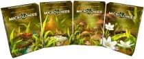 Microlonies