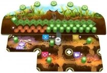 Microlonies