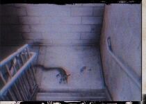 Ne Jouez Surtout Pas &Agrave; Ce Jeu !