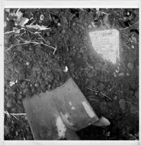 Ne Jouez Surtout Pas &Agrave; Ce Jeu !