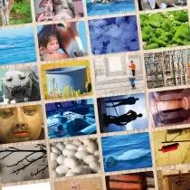 Photo-Expression - Émotions - Comitys