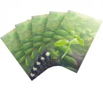 Prot&egrave;ge-Cartes For&ecirc;t Mixte (185 Sleeves)