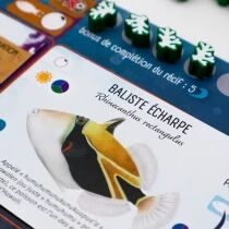 Requins & R&eacute;cifs (Ext. Finspan)