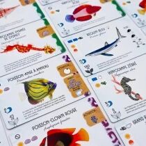 Requins & R&eacute;cifs (Ext. Finspan)