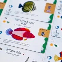 Requins & R&eacute;cifs (Ext. Finspan)