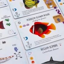 Requins & R&eacute;cifs (Ext. Finspan)