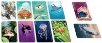 Similo Animaux Aquatiques