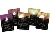 Storyfold : Bois Sauvage