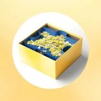 Trieur de pièces de puzzle
