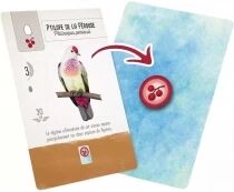 Wingspan Pocket