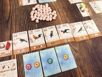 Wingspan Pocket