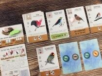 Wingspan Pocket